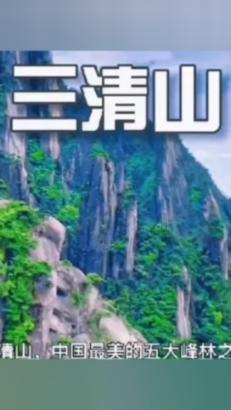 救援花栗鼠